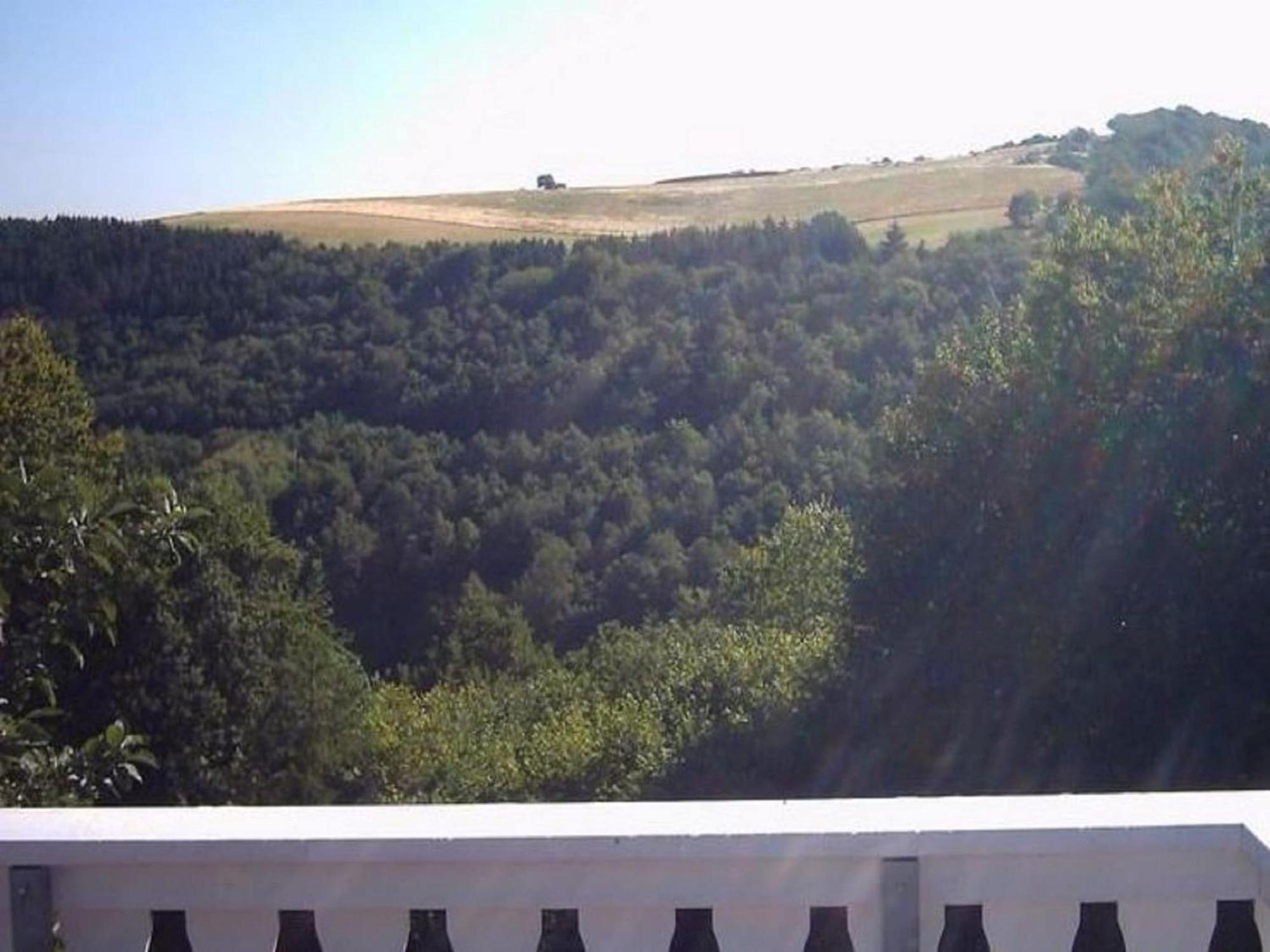 Charming Apartment In Morbach Germany With Terrace 塔尔方 外观 照片
