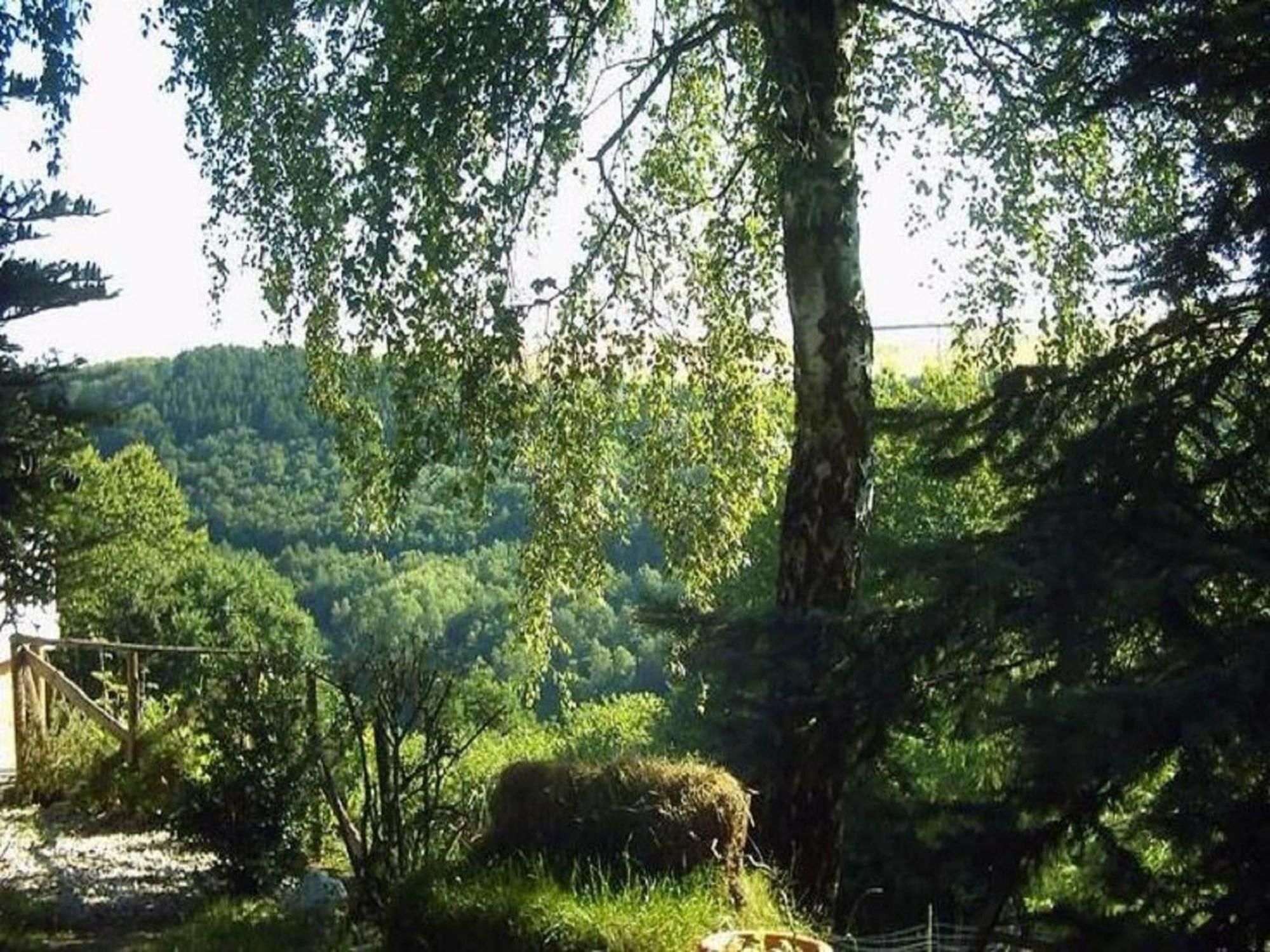 Charming Apartment In Morbach Germany With Terrace 塔尔方 外观 照片